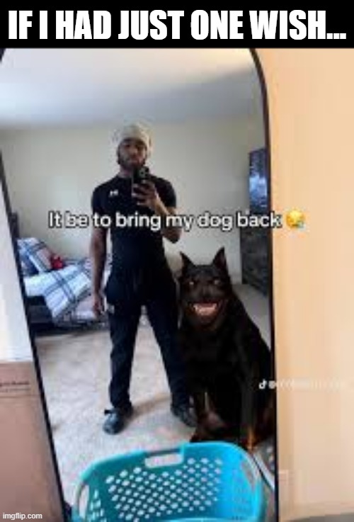 Man...i wish he would come back to me again | IF I HAD JUST ONE WISH... | image tagged in dogs,what the hell,scariest things on earth | made w/ Imgflip meme maker