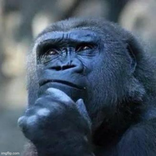 Thinking ape | image tagged in thinking ape | made w/ Imgflip meme maker