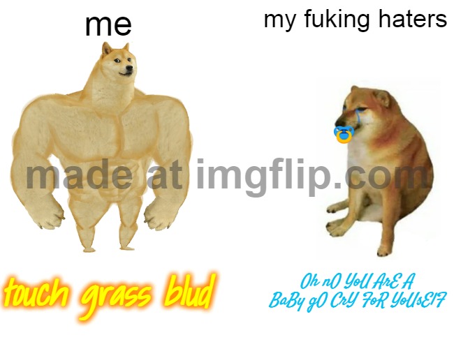 Buff Doge vs. Cheems | me; my fuking haters; Oh nO YoU ArE A BaBy gO CrY FoR YoUsElF; touch grass blud | image tagged in memes,buff doge vs cheems | made w/ Imgflip meme maker