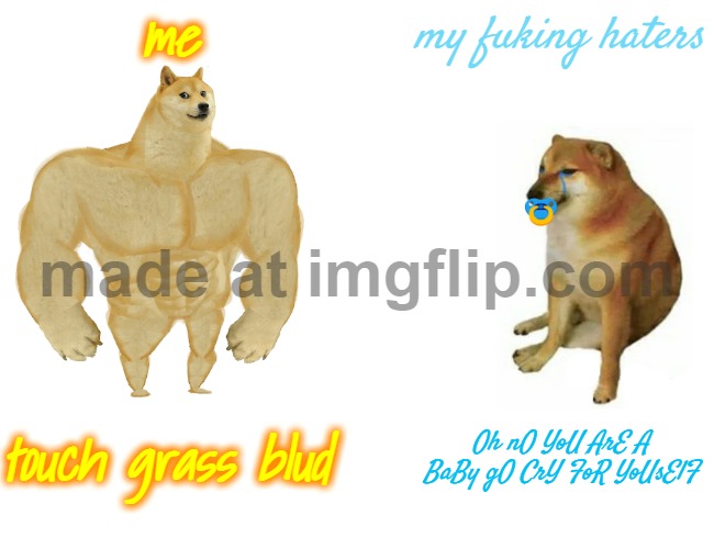 Buff Doge vs. Cheems | me; my fuking haters; Oh nO YoU ArE A BaBy gO CrY FoR YoUsElF; touch grass blud | image tagged in memes,buff doge vs cheems | made w/ Imgflip meme maker