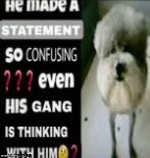 made w/ Imgflip meme maker