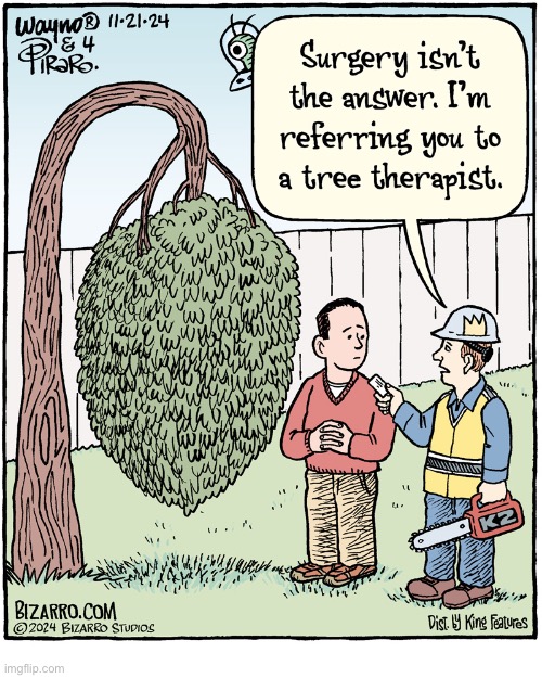 Bizarro Comics | image tagged in comics,bizarro comics,tree,therapist,lost cause | made w/ Imgflip meme maker