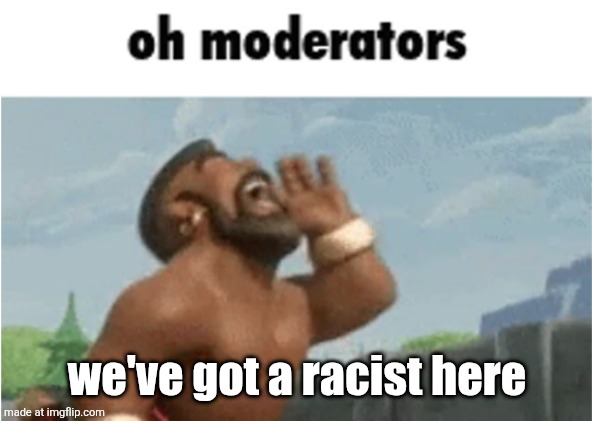 OH MODERATORS | we've got a racist here | image tagged in oh moderators | made w/ Imgflip meme maker
