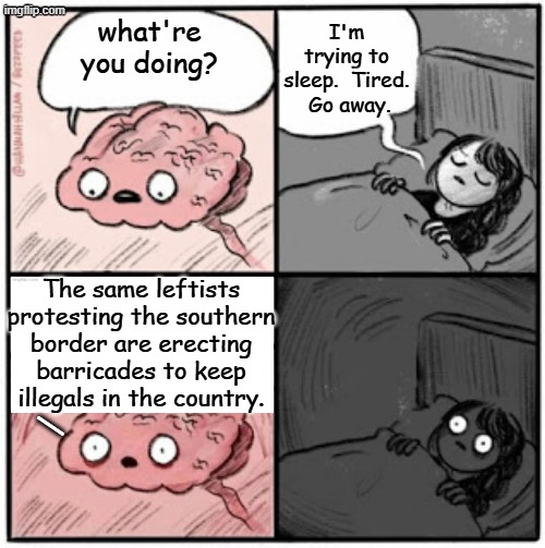Some thoughts are best NOT to contemplate before bed time. | I'm trying to sleep.  Tired.  Go away. what're you doing? The same leftists protesting the southern border are erecting barricades to keep illegals in the country. _ | image tagged in brain before sleep | made w/ Imgflip meme maker