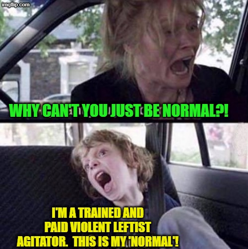 At last . . . fair and balanced news reporting. | WHY CAN'T YOU JUST BE NORMAL?! I'M A TRAINED AND PAID VIOLENT LEFTIST AGITATOR.  THIS IS MY 'NORMAL'! | image tagged in why can't you just be normal | made w/ Imgflip meme maker