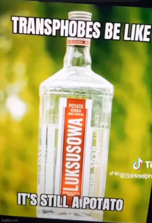 I have no ideas for titles | image tagged in trans | made w/ Imgflip meme maker