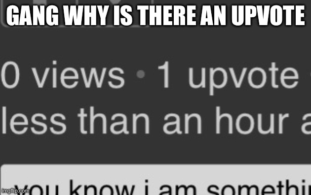 Who’s upvoting | GANG WHY IS THERE AN UPVOTE | image tagged in ghost,why are you reading this,stop reading the tags | made w/ Imgflip meme maker