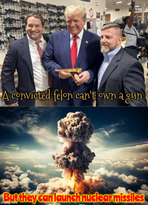 The mentally ill shouldn't have nuclear weapons | A convicted felon can't own a gun; But they can launch nuclear missiles | image tagged in the mentally ill shouldn't have nuclear weapons,trump is a convicted felon,maga meltdown,nuclear football folly,wwiii | made w/ Imgflip meme maker