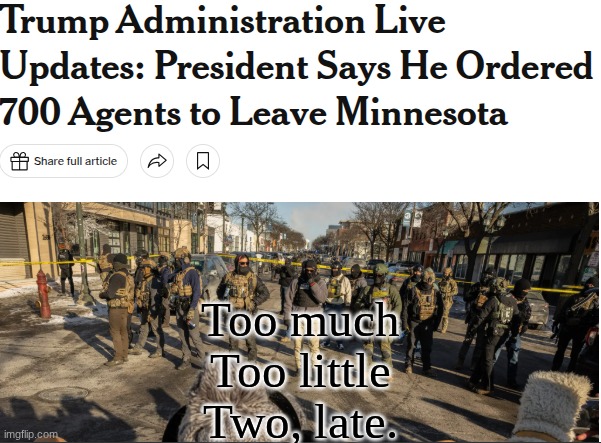 Remember, Renee! Remember, Alex! The Scepter of Justice shall be surprising and severe in 2026! | Too much
Too little
Two, late. | image tagged in prince | made w/ Imgflip meme maker