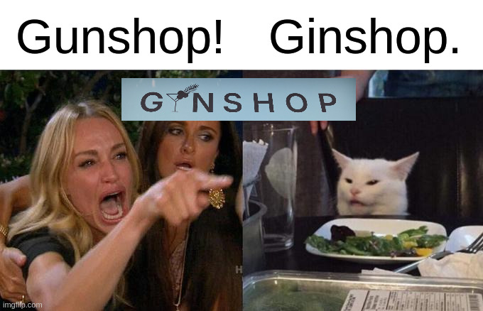Gunshop / ginshop | Gunshop! Ginshop. | image tagged in memes,woman yelling at cat | made w/ Imgflip meme maker
