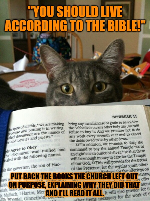 This #lolcat wonders why the patriarchy left out certain bible books | "YOU SHOULD LIVE ACCORDING TO THE BIBLE!"; PUT BACK THE BOOKS THE CHURCH LEFT OUT 
ON PURPOSE, EXPLAINING WHY THEY DID THAT 
AND I'LL READ IT ALL. | image tagged in bible,patriarchy,lolcat,christianity | made w/ Imgflip meme maker