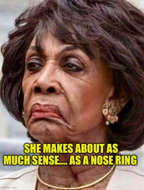 Nonsense | SHE MAKES ABOUT AS MUCH SENSE…. AS A NOSE RING | image tagged in maxine waters,democratic socialism,democrats | made w/ Imgflip meme maker