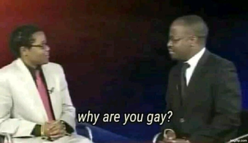 Why are you gay? | image tagged in why are you gay | made w/ Imgflip meme maker
