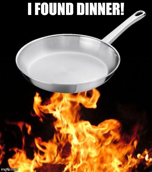 frying pan to fire | I FOUND DINNER! | image tagged in frying pan to fire | made w/ Imgflip meme maker