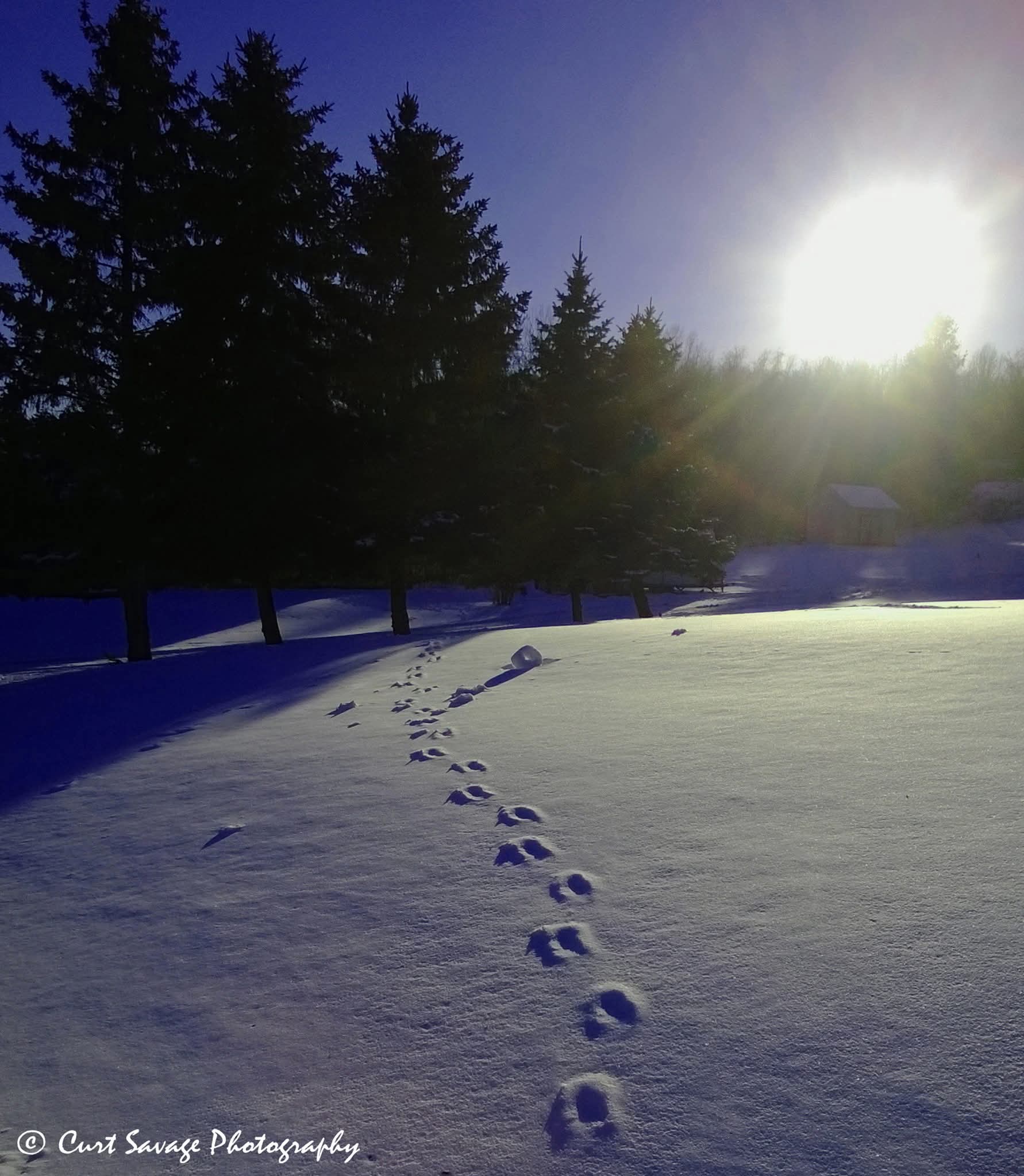 Footsteps in Snow Blank Meme Template