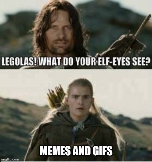 Elf eyes see | MEMES AND GIFS | image tagged in elf eyes see | made w/ Imgflip meme maker