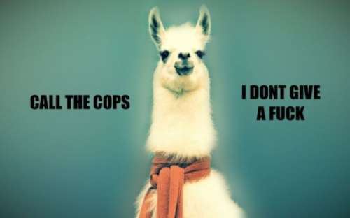 Call the cops Blank Meme Template