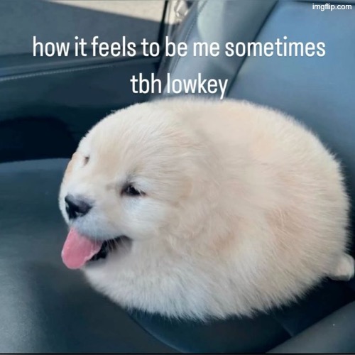 Y’all ain’t doing it like me | made w/ Imgflip meme maker