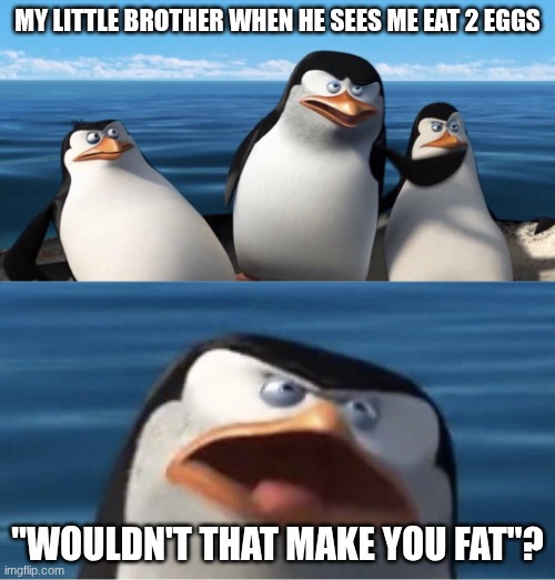 Wouldn't that make you | MY LITTLE BROTHER WHEN HE SEES ME EAT 2 EGGS; "WOULDN'T THAT MAKE YOU FAT"? | image tagged in wouldn't that make you | made w/ Imgflip meme maker