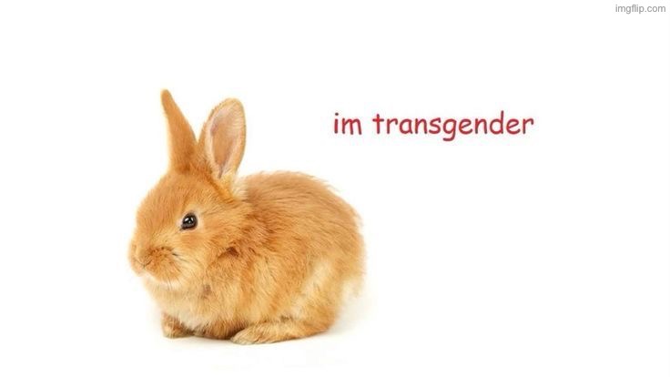 What could this possibly mean | made w/ Imgflip meme maker