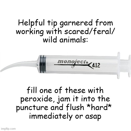 Helpful tip garnered from
working with scared/feral/
wild animals: fill one of these with
peroxide, jam it into the
puncture and flush *hard | made w/ Imgflip meme maker