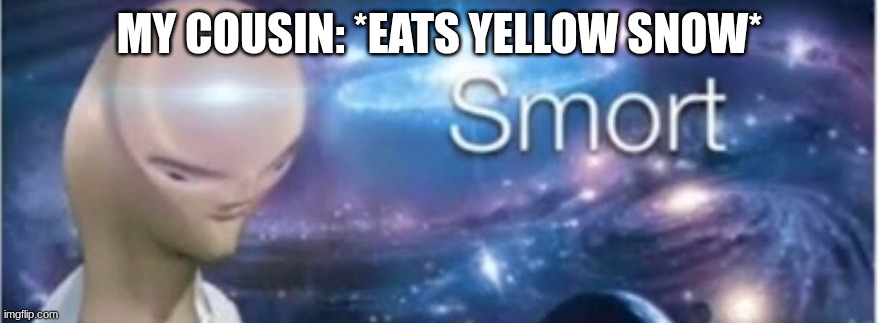 Meme man smort | MY COUSIN: *EATS YELLOW SNOW* | image tagged in meme man smort | made w/ Imgflip meme maker