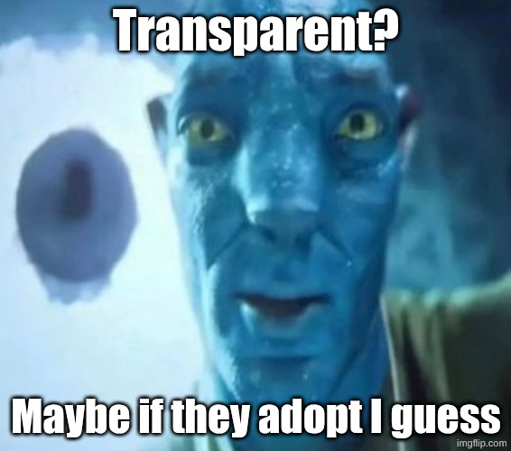 Avatar guy | Transparent? Maybe if they adopt I guess | image tagged in avatar guy | made w/ Imgflip meme maker