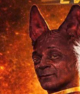 Snoopcat Blank Meme Template