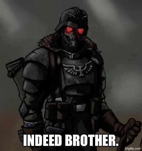 Krieg grenadier | INDEED BROTHER. | image tagged in krieg grenadier | made w/ Imgflip meme maker
