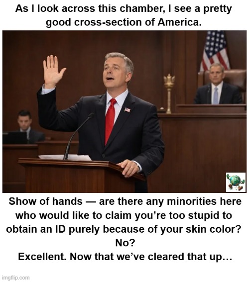 Isn’t making sure only eligible voters can vote obvious? | image tagged in maga,conservative,illegal immigration | made w/ Imgflip meme maker