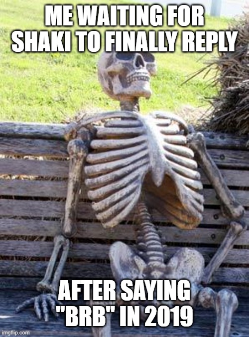 PFFFFTTTT | ME WAITING FOR SHAKI TO FINALLY REPLY; AFTER SAYING "BRB" IN 2019 | image tagged in memes,waiting skeleton | made w/ Imgflip meme maker