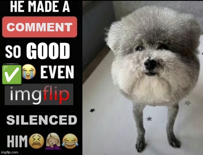 GOOD; ✅ | made w/ Imgflip meme maker