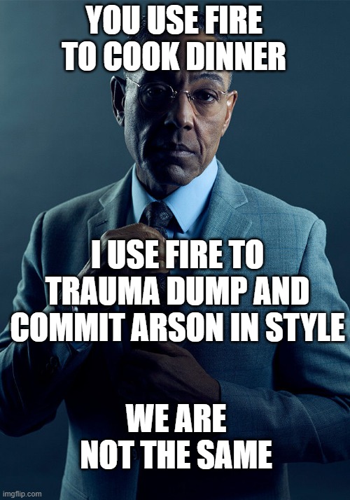 Dabi what?! | YOU USE FIRE TO COOK DINNER; I USE FIRE TO TRAUMA DUMP AND COMMIT ARSON IN STYLE; WE ARE NOT THE SAME | image tagged in gus fring we are not the same | made w/ Imgflip meme maker