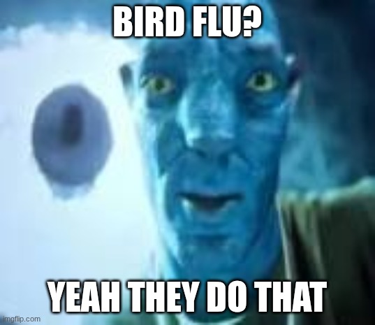 im unfunny | BIRD FLU? YEAH THEY DO THAT | made w/ Imgflip meme maker