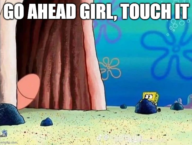 Touch It | GO AHEAD GIRL, TOUCH IT | image tagged in sex jokes | made w/ Imgflip meme maker