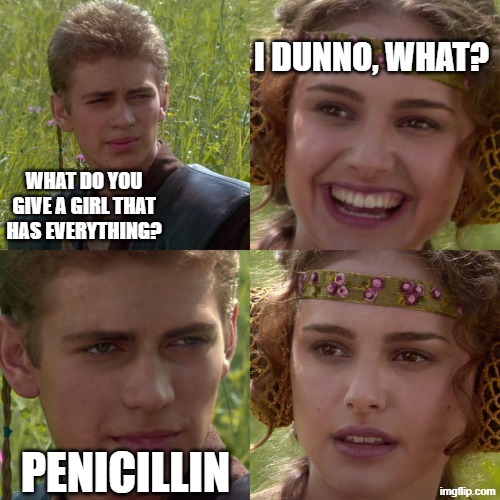 She Has Everything | I DUNNO, WHAT? WHAT DO YOU GIVE A GIRL THAT HAS EVERYTHING? PENICILLIN | image tagged in anakin padme 4 panel | made w/ Imgflip meme maker