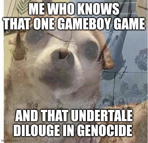 PTSD Chihuahua | ME WHO KNOWS THAT ONE GAMEBOY GAME AND THAT UNDERTALE DILOUGE IN GENOCIDE | image tagged in ptsd chihuahua | made w/ Imgflip meme maker