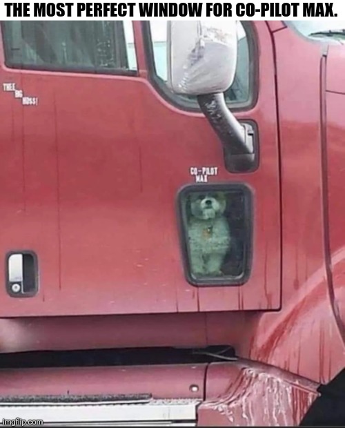 The Most Perfect Window For Co-Poliot Max. | THE MOST PERFECT WINDOW FOR CO-PILOT MAX. | image tagged in chrisjoines1 | made w/ Imgflip meme maker