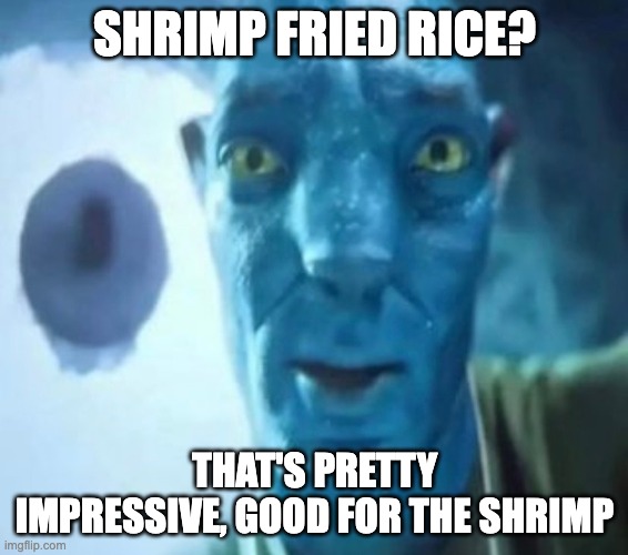 Avatar guy | SHRIMP FRIED RICE? THAT'S PRETTY IMPRESSIVE, GOOD FOR THE SHRIMP | image tagged in avatar guy | made w/ Imgflip meme maker