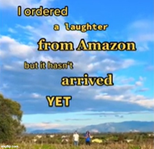 I ordered a laughter from Amazon but it hasn't arived yet | image tagged in i ordered a laughter from amazon but it hasn't arived yet | made w/ Imgflip meme maker