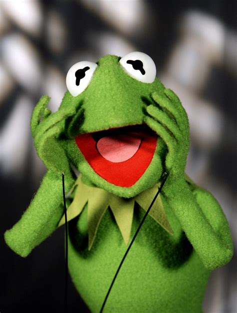 yelling kermit Blank Meme Template