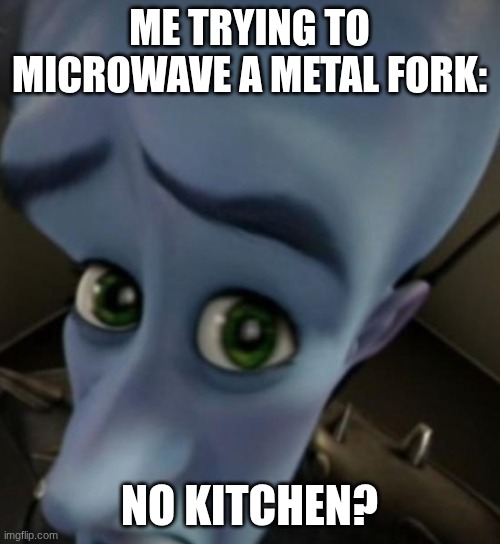 FOrk | ME TRYING TO MICROWAVE A METAL FORK:; NO KITCHEN? | image tagged in megamind no bitches | made w/ Imgflip meme maker
