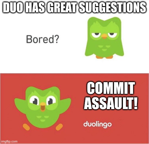 Yes, I'm a favorite | DUO HAS GREAT SUGGESTIONS; COMMIT ASSAULT! | image tagged in duolingo bored | made w/ Imgflip meme maker