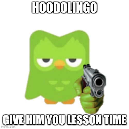 hoodolingo | HOODOLINGO; GIVE HIM YOU LESSON TIME | image tagged in duolingo | made w/ Imgflip meme maker