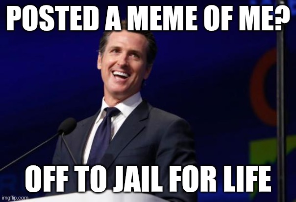 Gavin Newsom | POSTED A MEME OF ME? OFF TO JAIL FOR LIFE | image tagged in gavin newsom | made w/ Imgflip meme maker