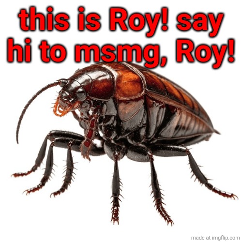 everybody say hi to Roy | this is Roy! say
hi to msmg, Roy! | made w/ Imgflip meme maker