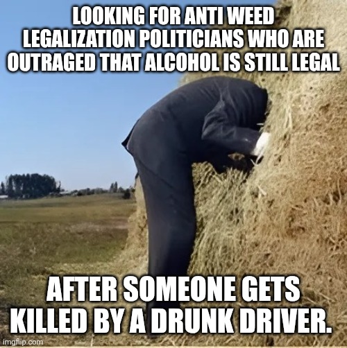 Finding needle in haystack | LOOKING FOR ANTI WEED LEGALIZATION POLITICIANS WHO ARE OUTRAGED THAT ALCOHOL IS STILL LEGAL; AFTER SOMEONE GETS KILLED BY A DRUNK DRIVER. | image tagged in finding needle in haystack | made w/ Imgflip meme maker
