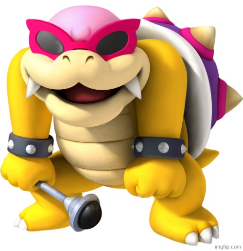 Roy koopa | image tagged in roy koopa | made w/ Imgflip meme maker