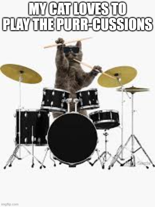 My cat loves to play the purr-cussions. | MY CAT LOVES TO PLAY THE PURR-CUSSIONS | image tagged in cat,kittens,funny,humor,play on words,funny cat meme | made w/ Imgflip meme maker