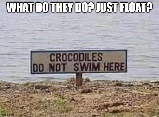 Sign says "Crocodiles Do Not Swim Here". What do they do? | WHAT DO THEY DO? JUST FLOAT? | image tagged in funny,humor,play on words,crocodiles,alligators,funny sign | made w/ Imgflip meme maker